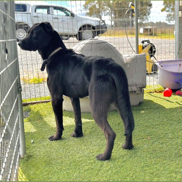 Photo of Jet