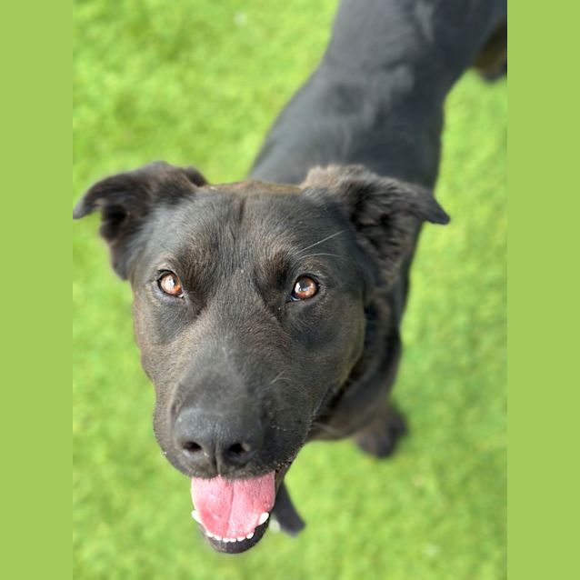 Photo of Jet