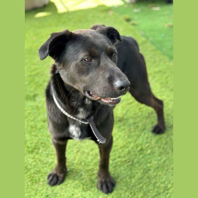 Photo of Jet