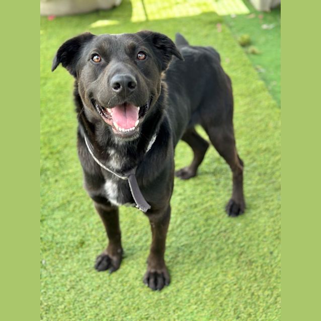 Photo of Jet