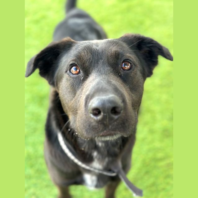 Photo of Jet
