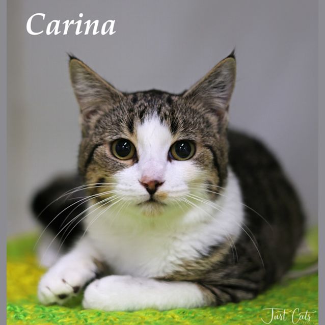 Photo of Carina