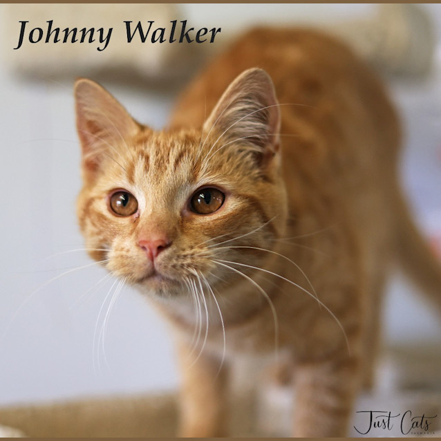 Photo of Johnny Walker