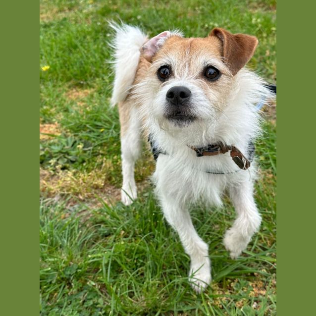 Photo of Ollie & Coco