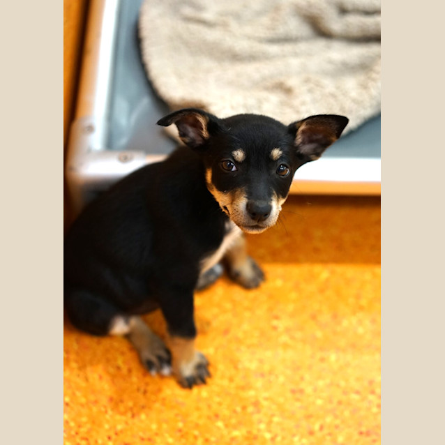 Photo of Evie