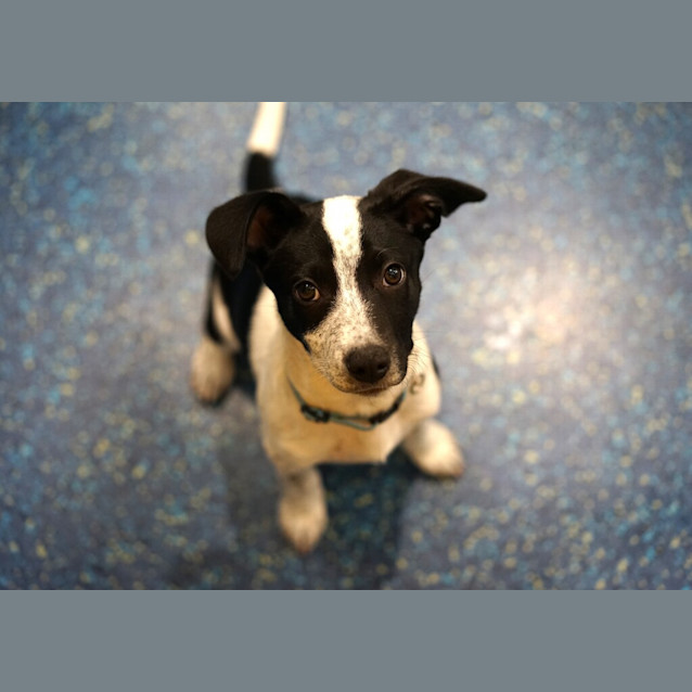 Photo of Korra