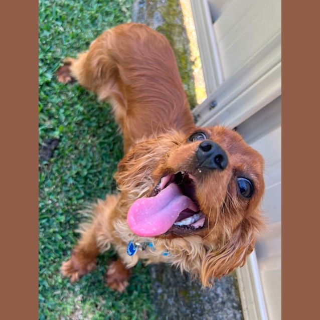 Photo of Bella And Benji