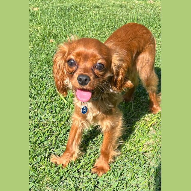 Photo of Bella And Benji