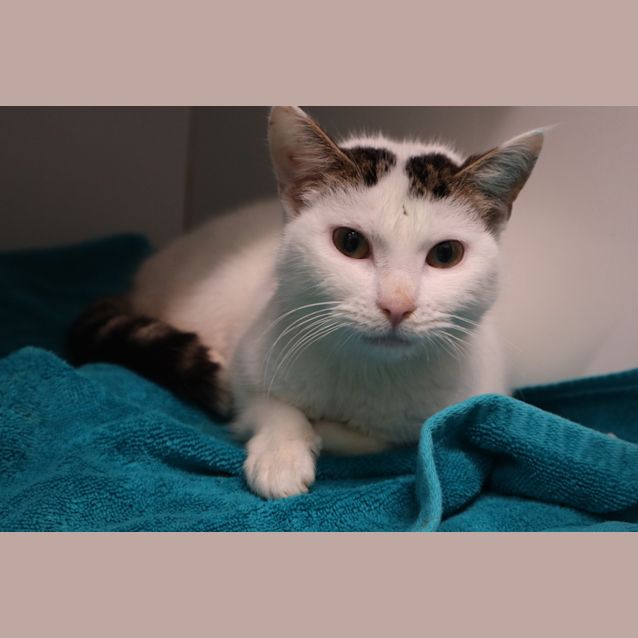 Photo of Buffy