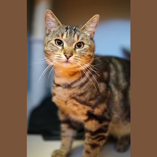 Photo of Hunter