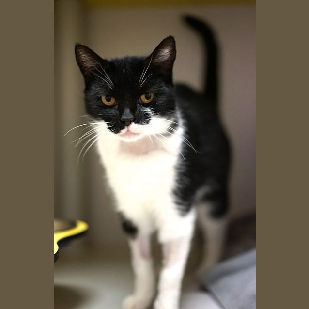 Photo of Bijou