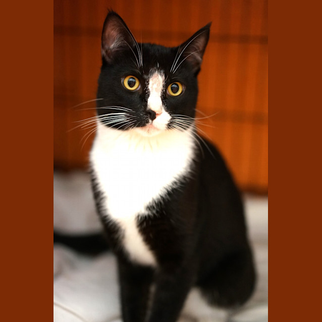Photo of Charlie