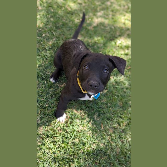 Photo of Astro