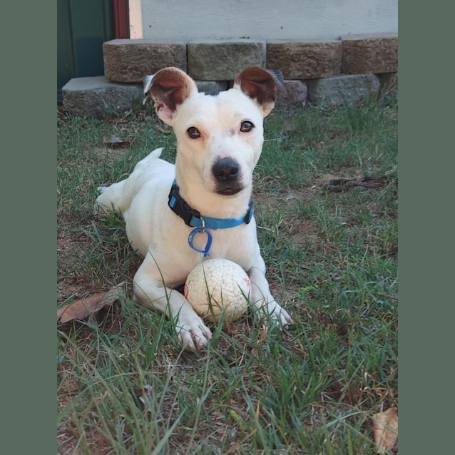 Photo of Percy