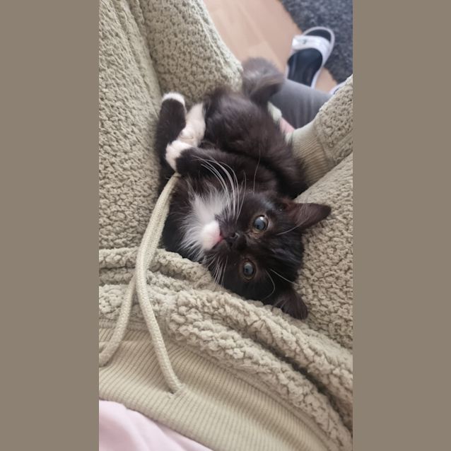 Photo of Luna