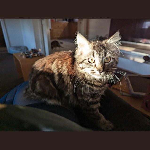 Photo of Lj Silver   Located In Sydenham