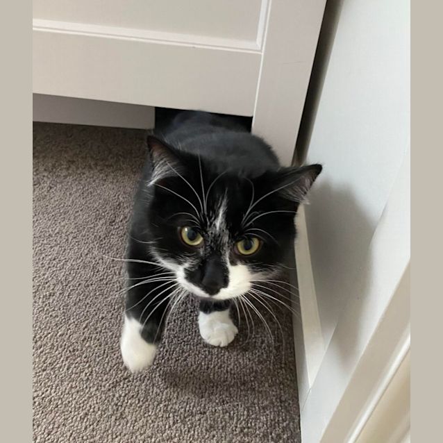 Photo of Mo   Located In Bellfield