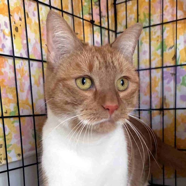 Photo of Quinn Rstk003400