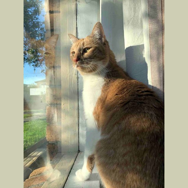 Photo of Quinn Rstk003400