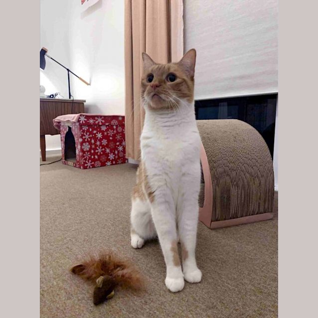 Photo of Quinn Rstk003400