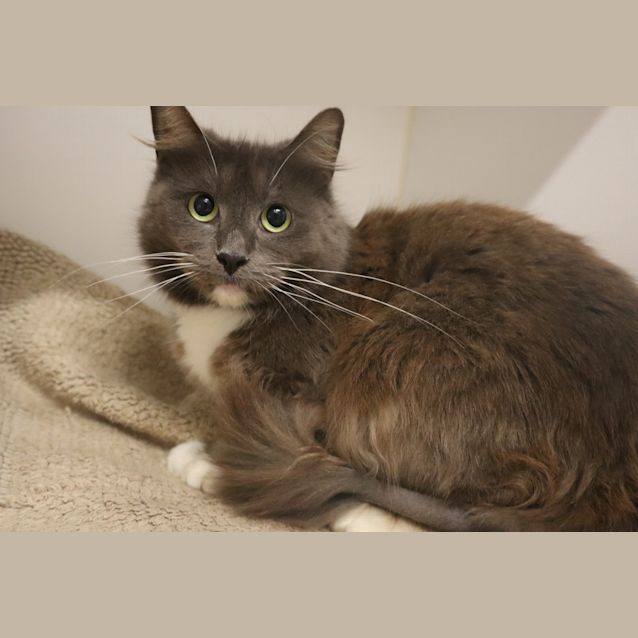 Photo of Kiki