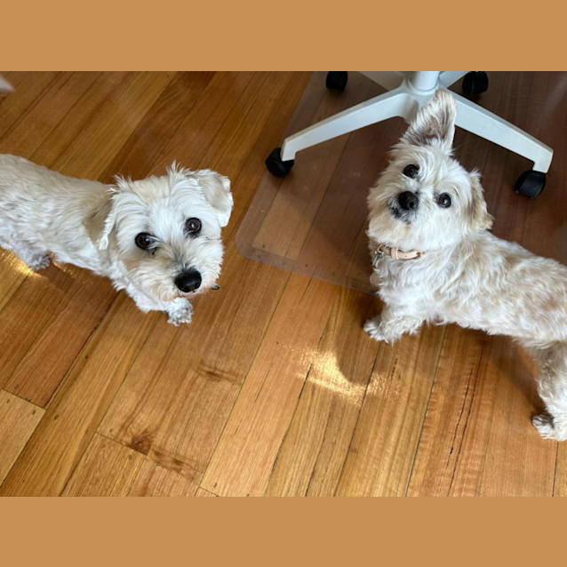 Photo of Martha And Matti Wilberforce