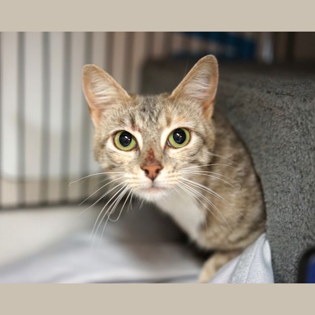Photo of Prudence