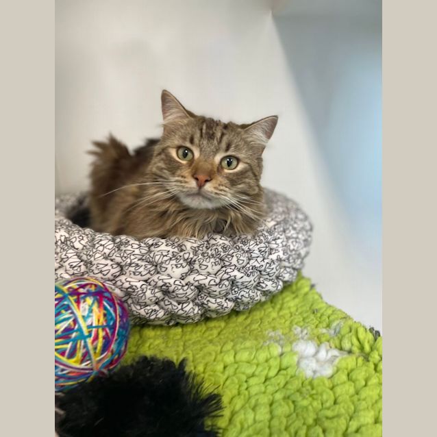 Photo of Leia