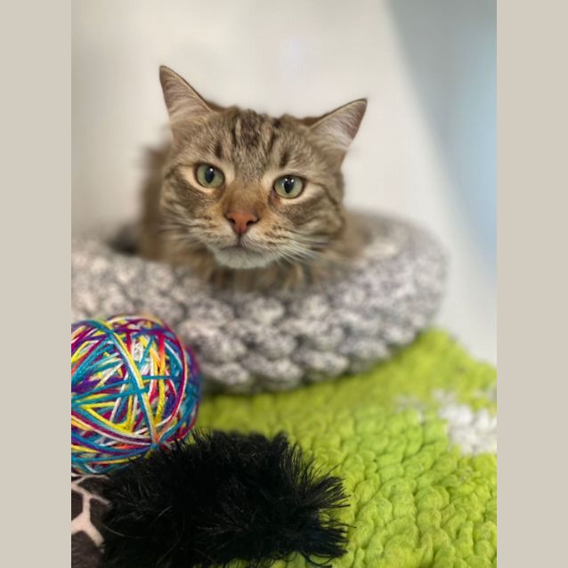 Photo of Leia