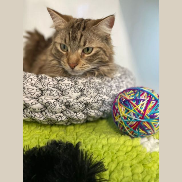 Photo of Leia