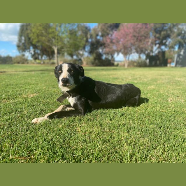 Photo of Maddy