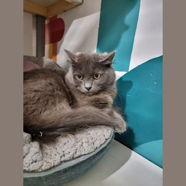 Photo of Penny