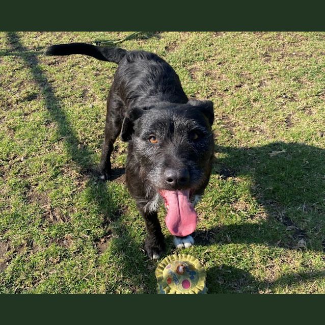 Photo of Lagertha Imp 1477