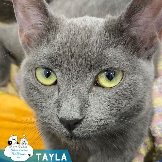 Photo of Tayla
