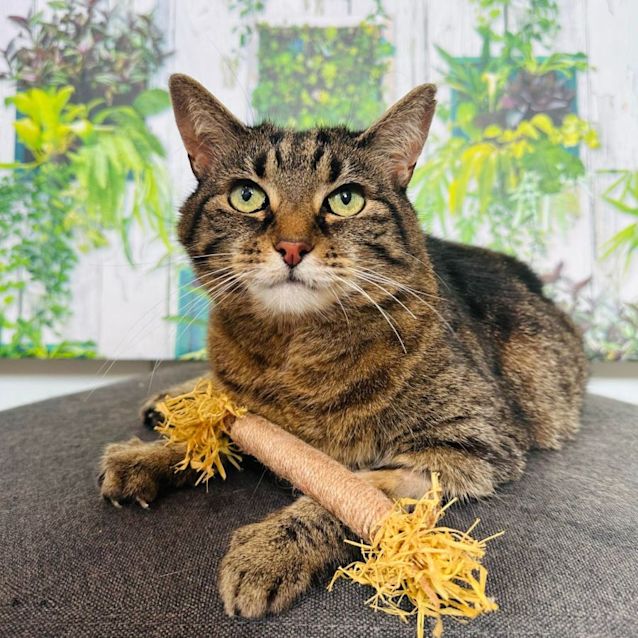 Photo of Butters   Located In Preston