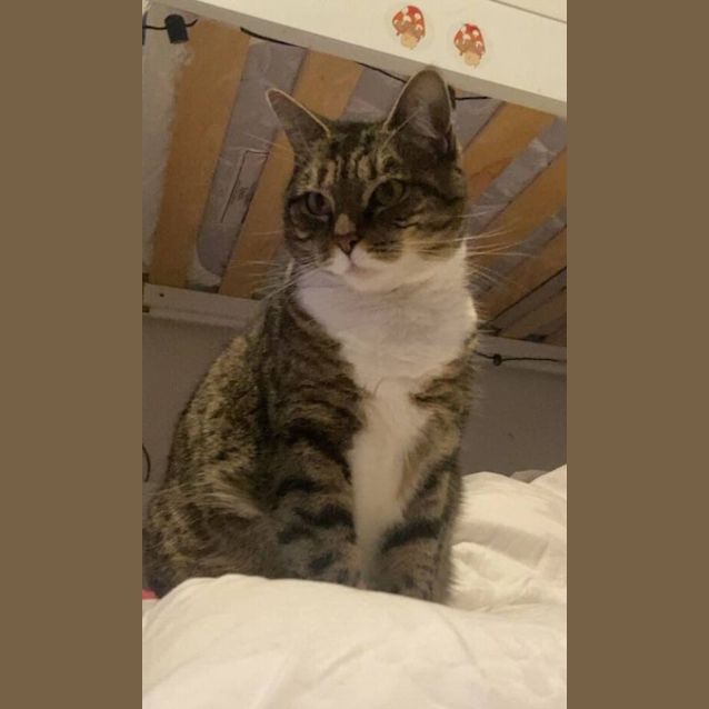 Photo of Edna