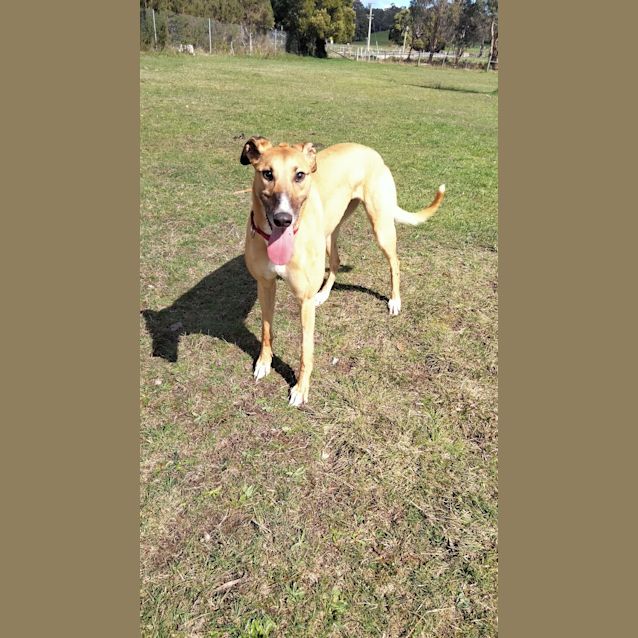 Photo of Lulu