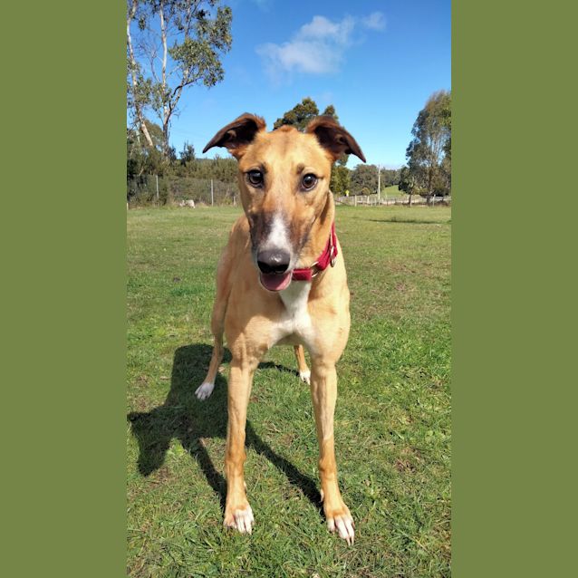 Photo of Lulu