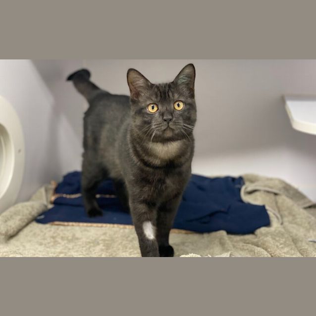 Photo of Oliver