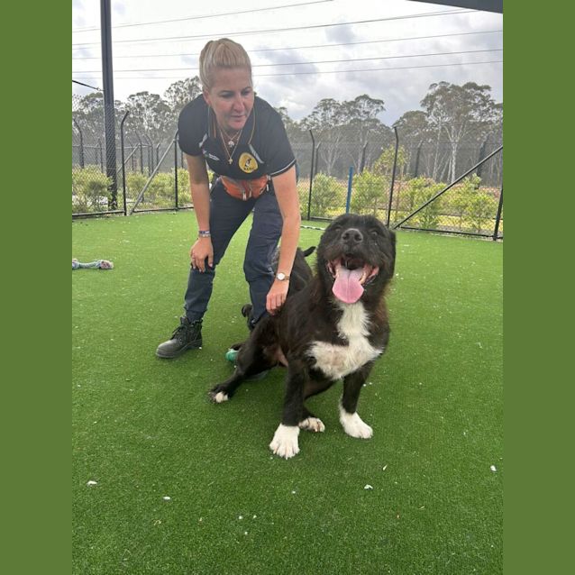 Photo of Ragnar Imp 1478