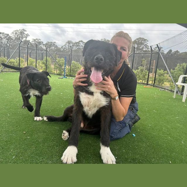 Photo of Ragnar Imp 1478