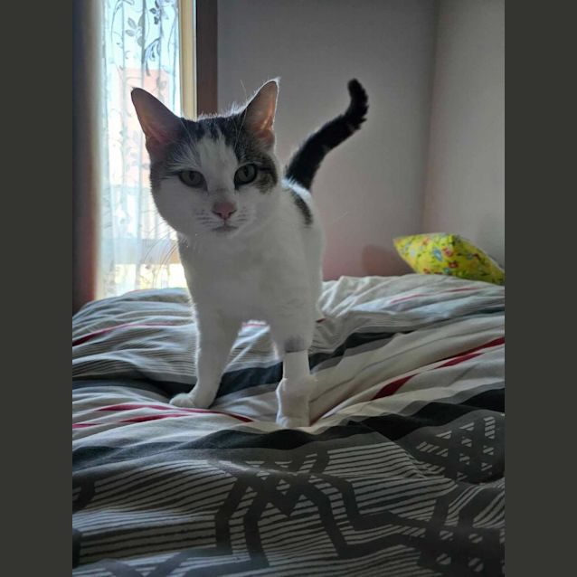 Photo of Ivy 