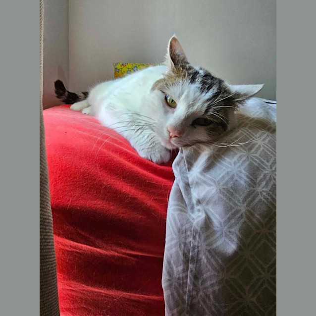 Photo of Ivy 