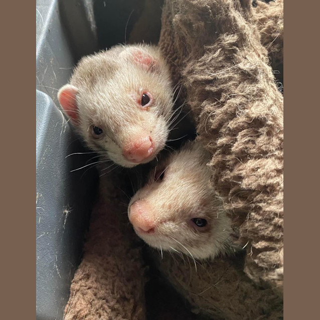 Photo of Brix & Mortar