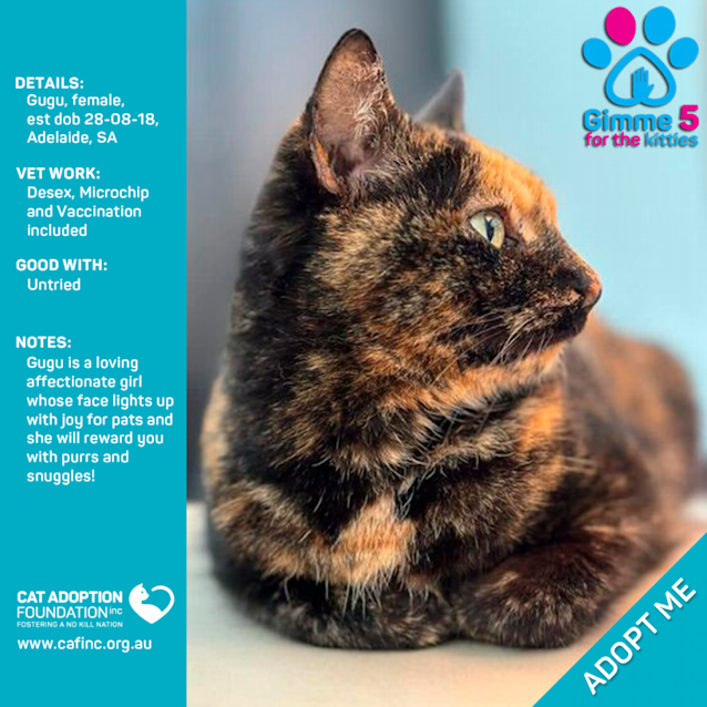 Photo of Gugu Just $39 Limited Time!