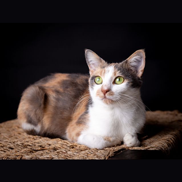 Photo of Sophie