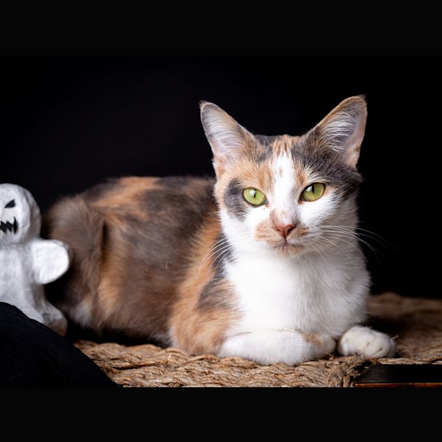 Photo of Sophie