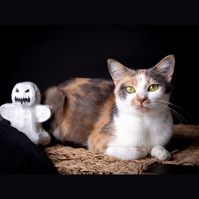 Photo of Sophie