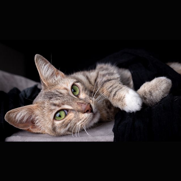 Photo of Prudence