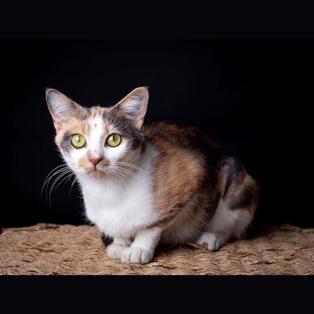 Photo of Sophie